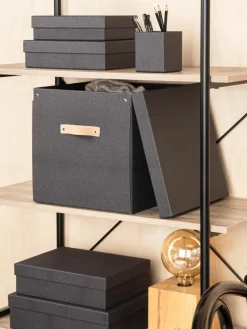 Bigso Box of Sweden Aufbewahrungsbox Logan