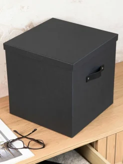 Bigso Box of Sweden Aufbewahrungsbox Texas
