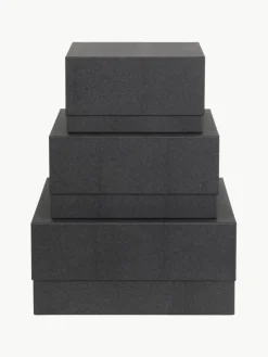Bigso Box of Sweden Aufbewahrungsboxen Ilse, 3er-Set