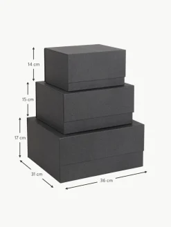 Bigso Box of Sweden Aufbewahrungsboxen Ilse, 3er-Set