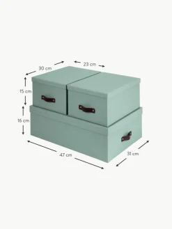 Bigso Box of Sweden Aufbewahrungsboxen Inge, 3er-Set