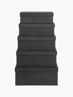 Bigso Box of Sweden Aufbewahrungsboxen Joel, 5er-Set