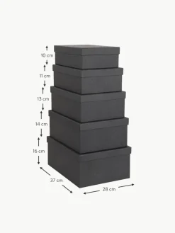 Bigso Box of Sweden Aufbewahrungsboxen Joel, 5er-Set