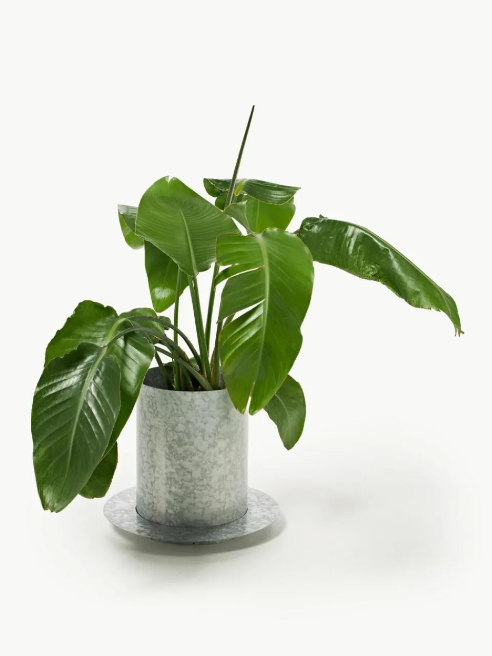 ferm LIVING Übertopf Auran, H 39 cm