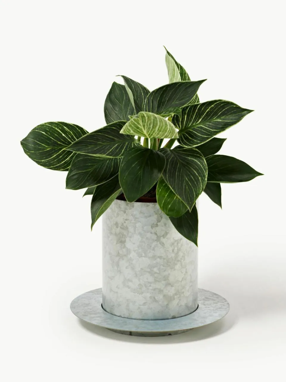 ferm LIVING Übertopf Auran, H 21 cm