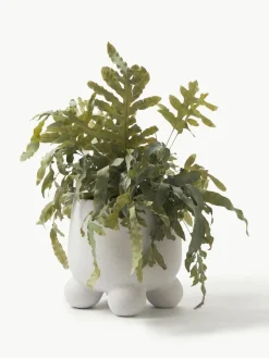 Westwing Collection Übertopf Olea, H 26 cm