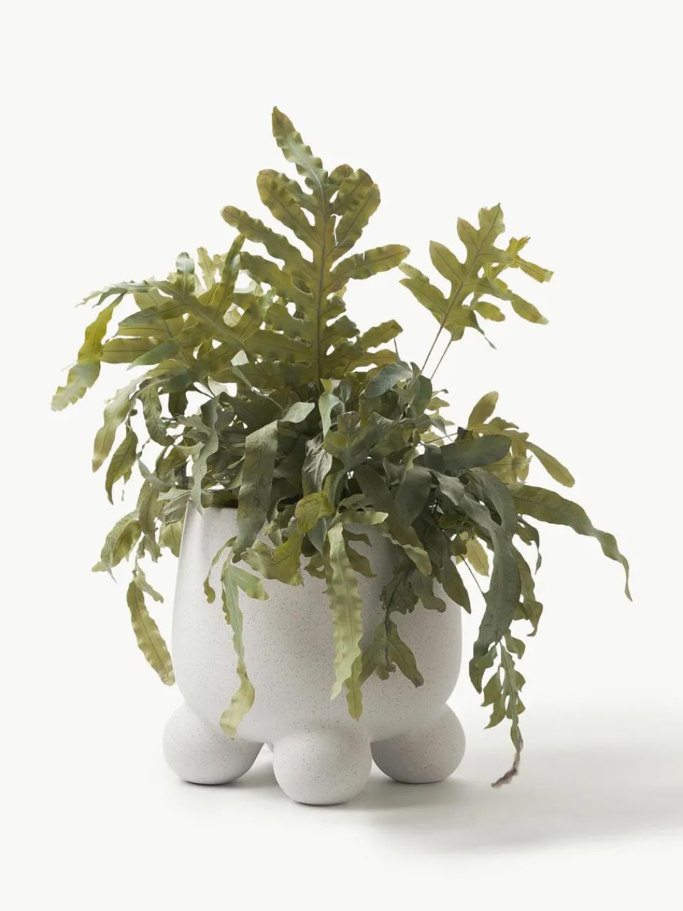 Westwing Collection Übertopf Olea, H 26 cm