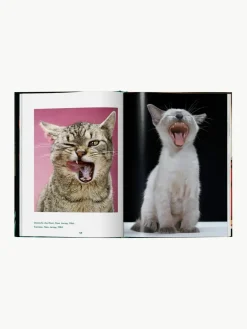 TASCHEN Bildband Cats. Photographs 1942–2018