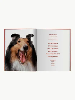 TASCHEN Bildband Dogs. Photographs 1941–1991