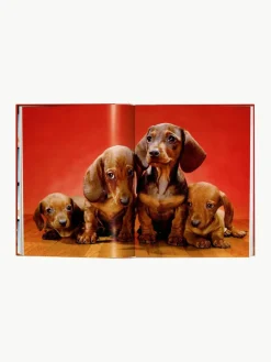 TASCHEN Bildband Dogs. Photographs 1941–1991