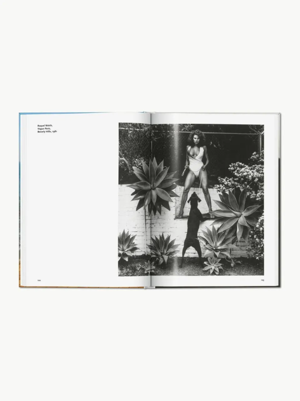 TASCHEN Bildband Helmut Newton