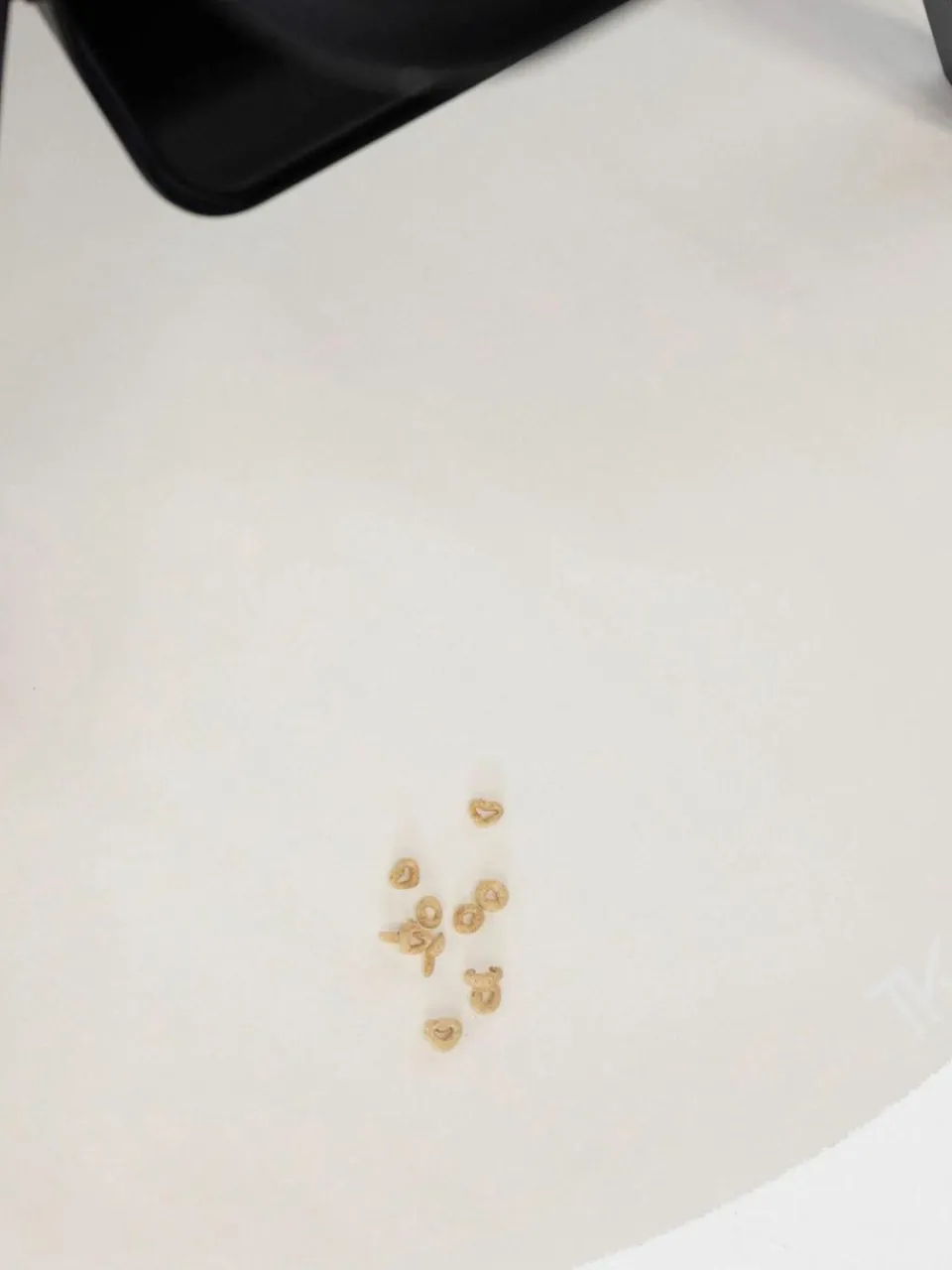 Kinder Toddlekind Bodenschutzmatte Naturals, rutschfest