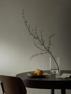 iittala Deko-Schale Alvar Aalto aus Edelstahl