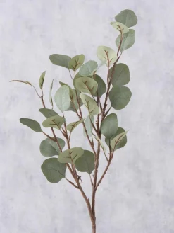 Westwing Dekozweig Eukalyptus