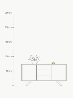 Kinder A Little Lovely Company Dimmbare Kinderzimmerlampe Rainbow Leaves mit Timer-Funktion
