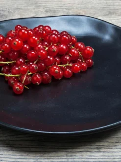 Kare Design Frühstücksteller Organic, 4 Stück