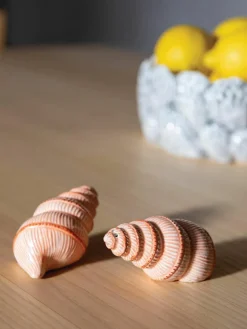 &k amsterdam Handbemalte Salz- & Pfefferstreuer Shell aus Dolomit, 2er-Set