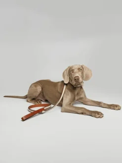 Buddys Dogwear Handgefertigte Hundeleine Baseball
