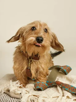 Buddys Dogwear Handgefertigte Hundeleine Etna