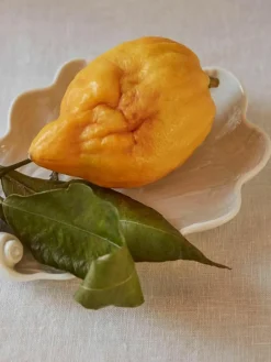 Meissen Handgefertigte Servierplatte Swan aus Porzellan