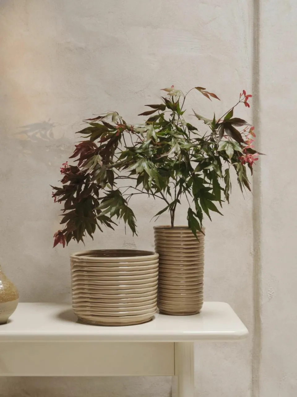 ferm LIVING Handgefertigter Übertopf Corduroy