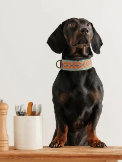 Buddys Dogwear Handgefertigtes Haustier-Halsband Etna, in verschiedenen Größen