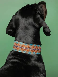 Buddys Dogwear Handgefertigtes Haustier-Halsband Etna, in verschiedenen Größen