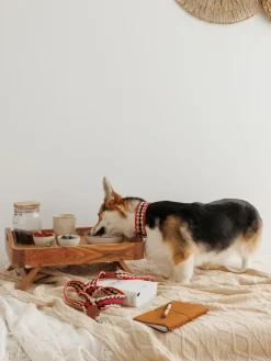Buddys Dogwear Handgefertigtes Haustier-Halsband Peruvian Arrow, in verschiedenen Größen