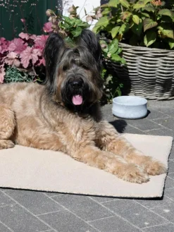 Laboni Haustier-Steppdecke Teddy mit Anti-Rutsch-Unterseite, in verschiedenen Größen