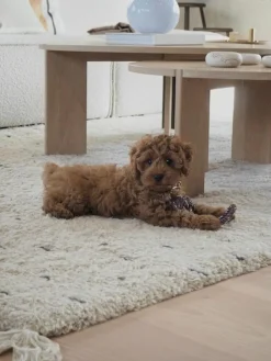 Oyoy Living Design Hundespielzeug Otto