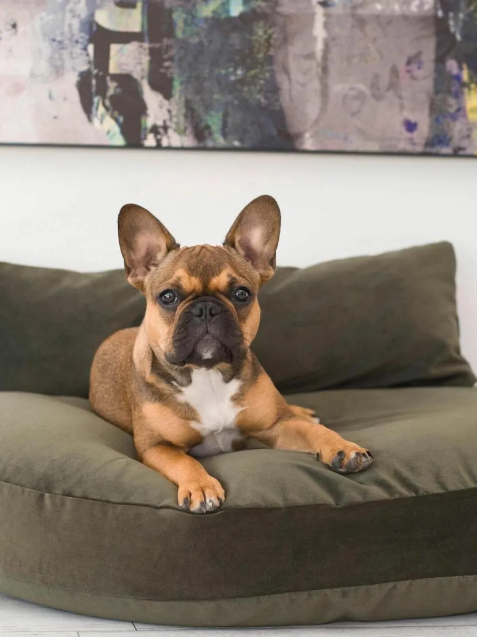 Laboni In- & Outdoor-Hundebett Prado