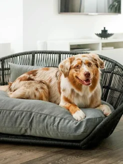Laboni In- & Outdoor-Hundebett Prado