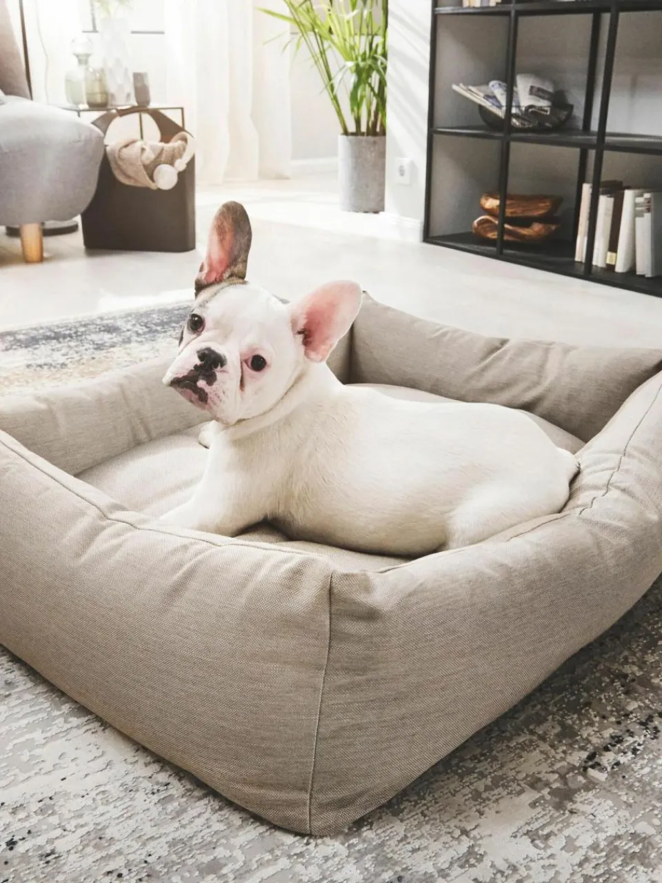 Laboni In- & Outdoor-Hundebett Smooth, in verschiedenen Größen