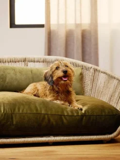 Laboni In- & Outdoor-Hundebett Vogue