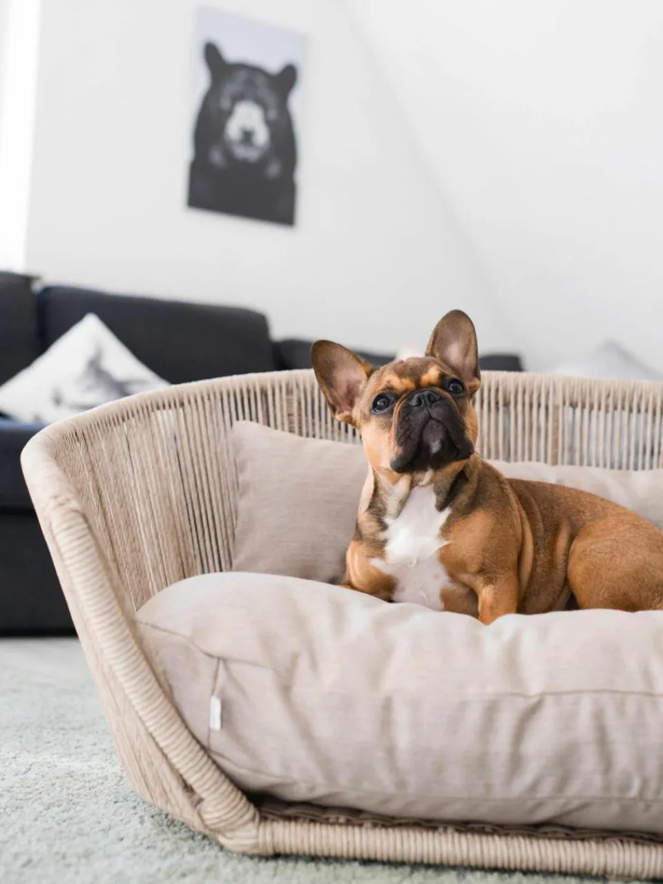 Laboni In- & Outdoor-Hundebett Vogue