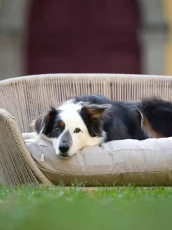 Laboni In- & Outdoor-Hundebett Vogue