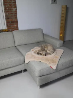 Hoopo Katzenbett Flip