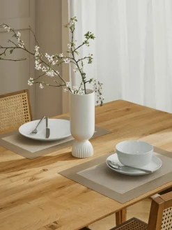 Asa Selection Kunststoff-Tischsets Trefl, 2 Stück