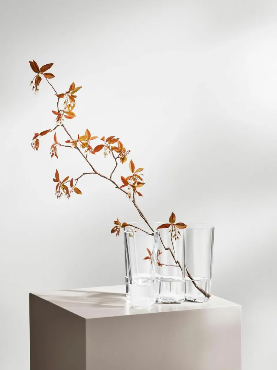 iittala Mundgeblasene Vase Alvar Aalto, H 16 cm