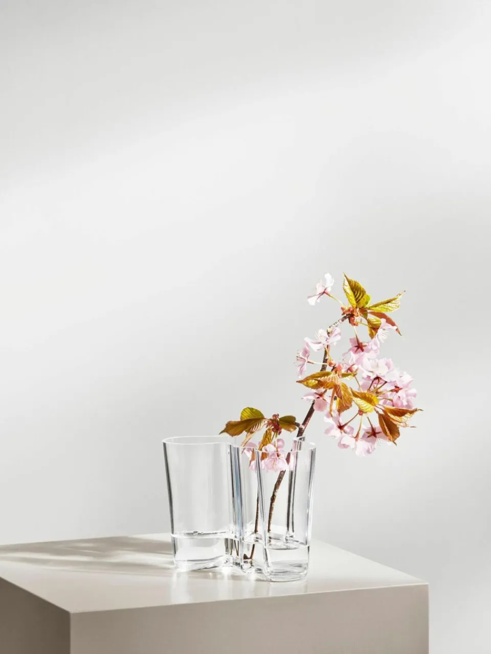iittala Mundgeblasene Vase Alvar Aalto, H 16 cm