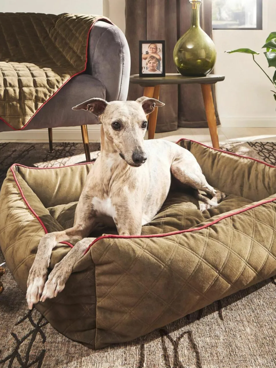 Laboni Samt-Hundebett Oxford, in verschiedenen Größen