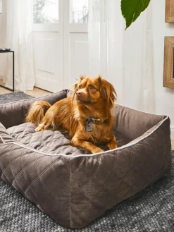Laboni Samt-Hundebett Oxford, in verschiedenen Größen
