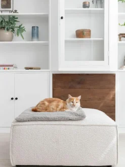 Hoopo Teddy-Katzendecke Tri