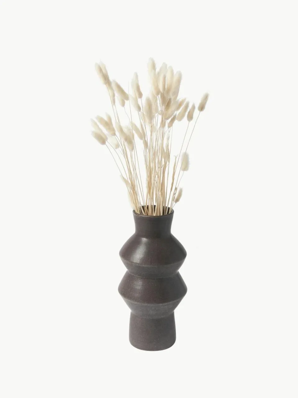 Cooee Design Trockenblumen Lagurus