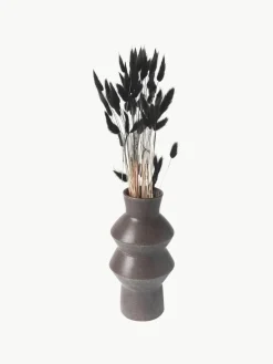 Cooee Design Trockenblumen Lagurus