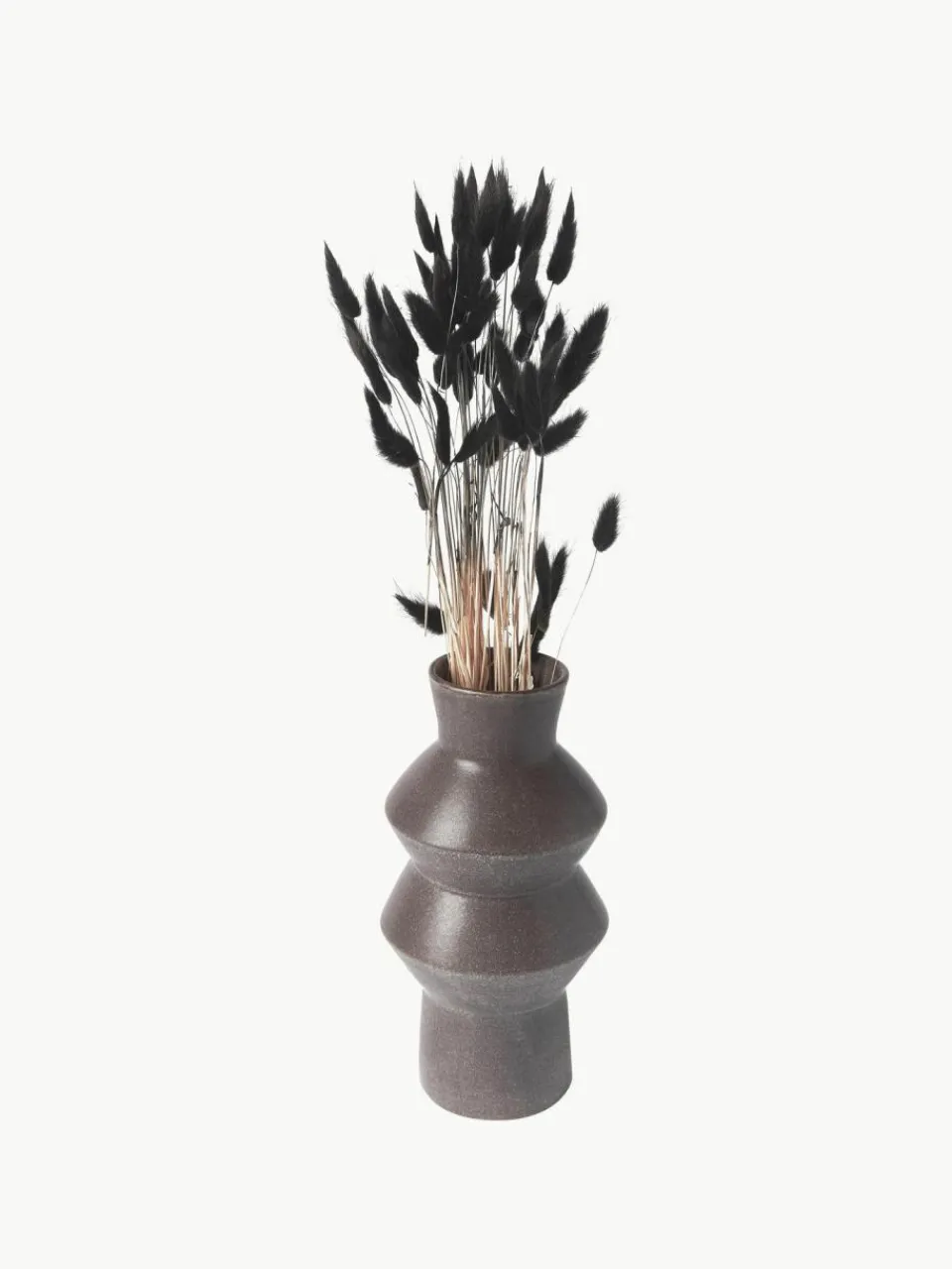 Cooee Design Trockenblumen Lagurus