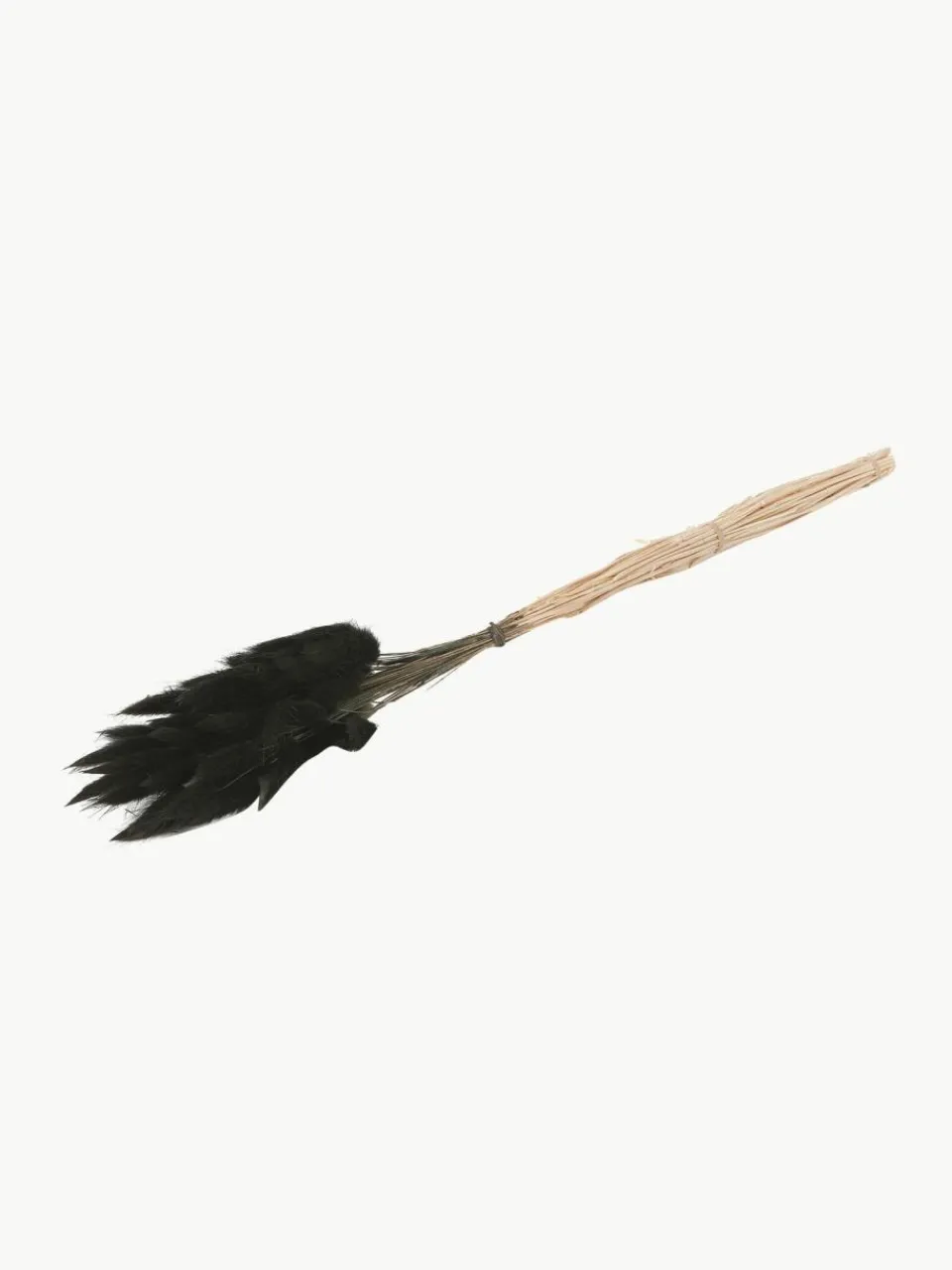 Cooee Design Trockenblumen Lagurus
