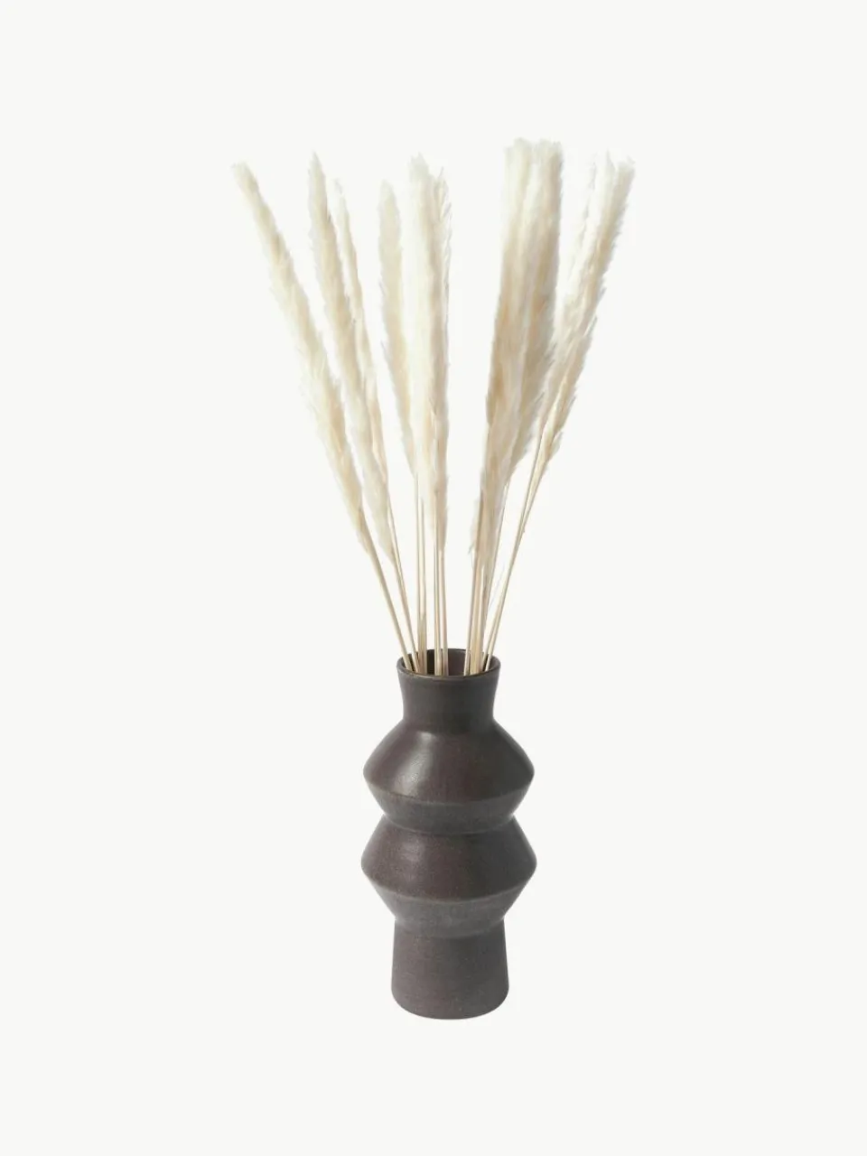 Cooee Design Trockenblumen Pampas