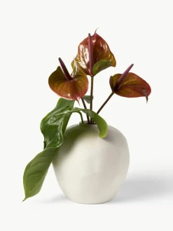 Westwing Collection Vase Bruno aus Steingut, H 26 cm